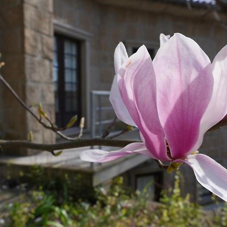 Гостьовий будинок Alvores Do Tempo - Quinta De Turismo Rural Каштру-Дайре Екстер'єр фото