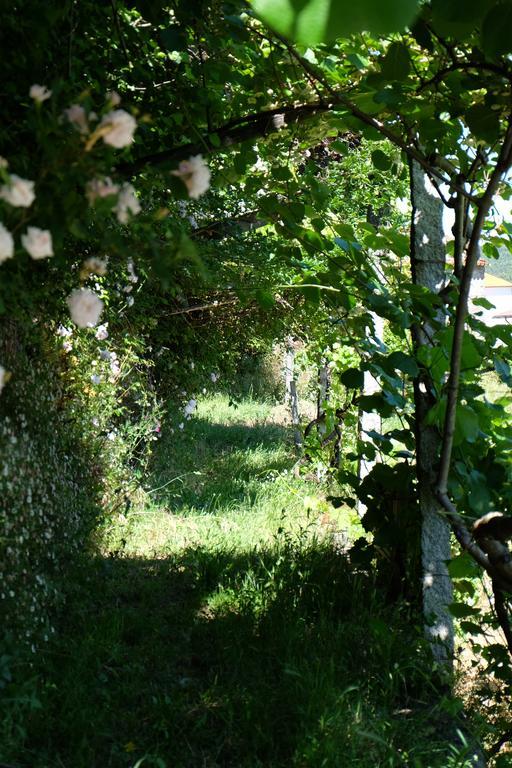 Гостьовий будинок Alvores Do Tempo - Quinta De Turismo Rural Каштру-Дайре Екстер'єр фото