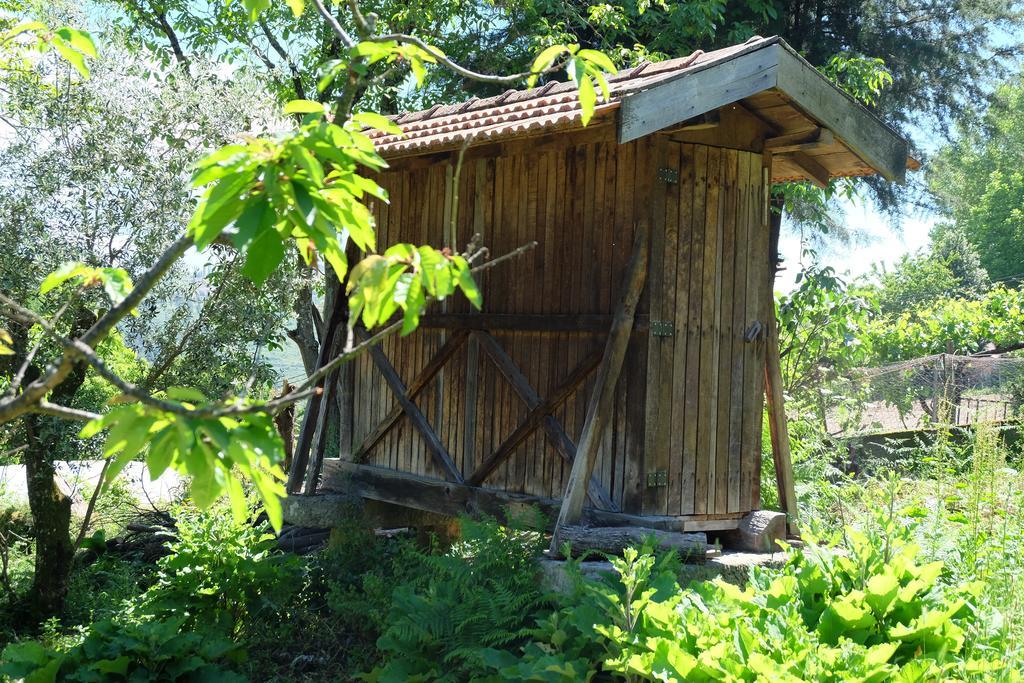 Гостьовий будинок Alvores Do Tempo - Quinta De Turismo Rural Каштру-Дайре Екстер'єр фото