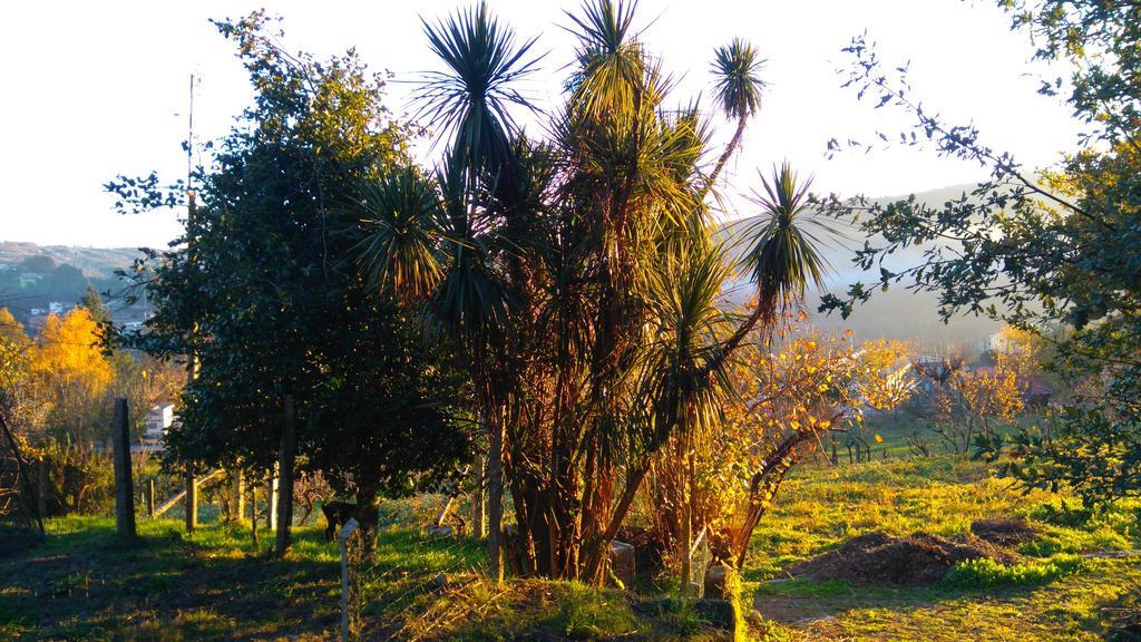 Гостьовий будинок Alvores Do Tempo - Quinta De Turismo Rural Каштру-Дайре Екстер'єр фото