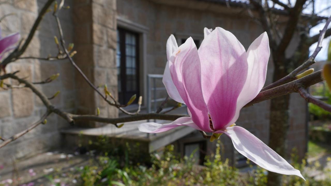 Гостьовий будинок Alvores Do Tempo - Quinta De Turismo Rural Каштру-Дайре Екстер'єр фото